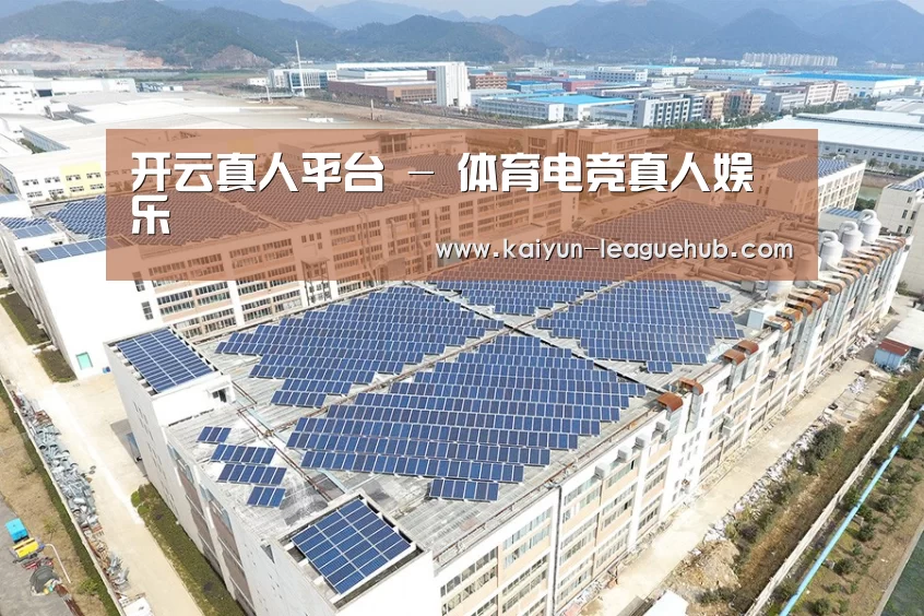 案例展示一