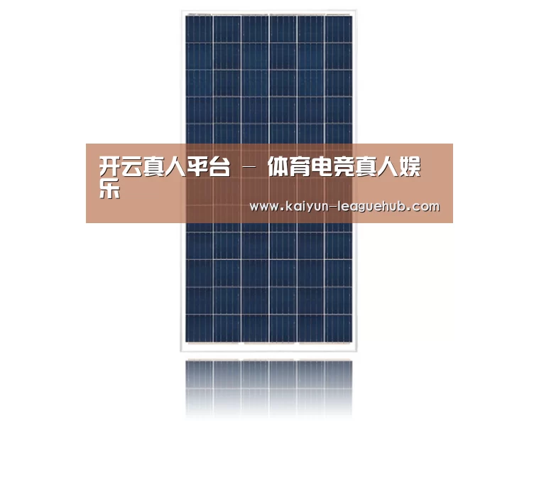 产品名称一