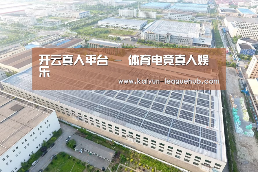 案例展示三