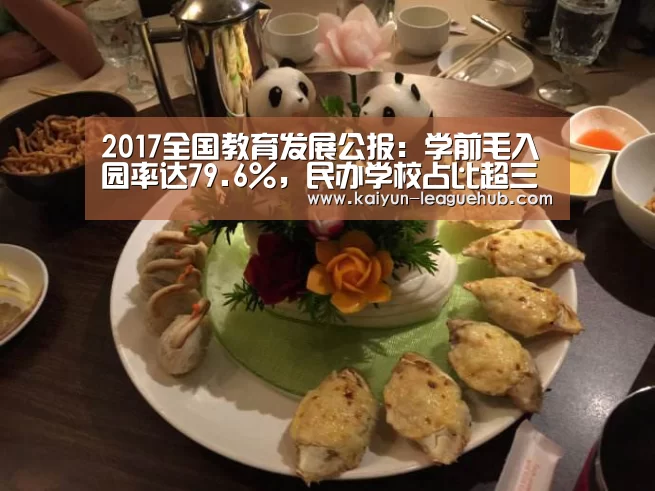 2017全国教育发展公报:学前毛入园率达79.6%,民办学校占比超三成【开云官方入口】(图2) 开云电竞竞猜平台