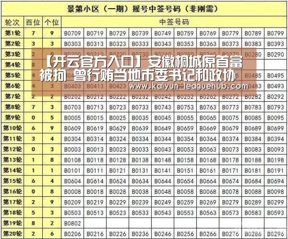 【开云官方入口】安徽桐城原首富被拘 曾行贿当地市委书记和政协主席(图4) 开云电竞竞猜平台