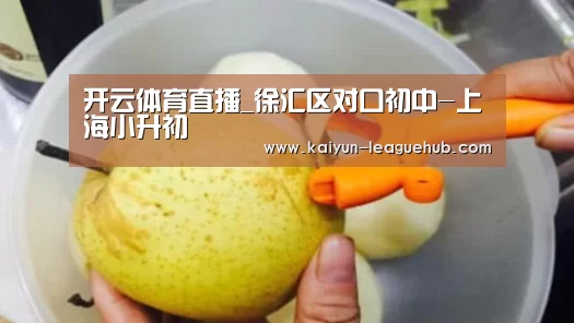 开云体育直播_徐汇区对口初中-上海小升初(图3) 开云电竞竞猜平台