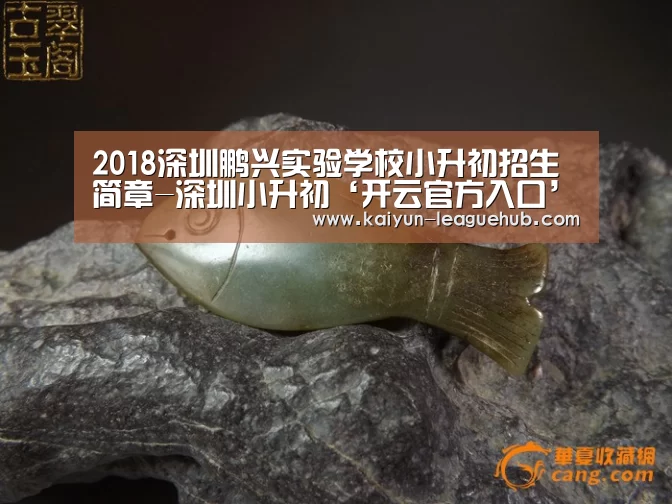 2018深圳鹏兴实验学校小升初招生简章-深圳小升初‘开云官方入口’(图1) 开云官方入口
