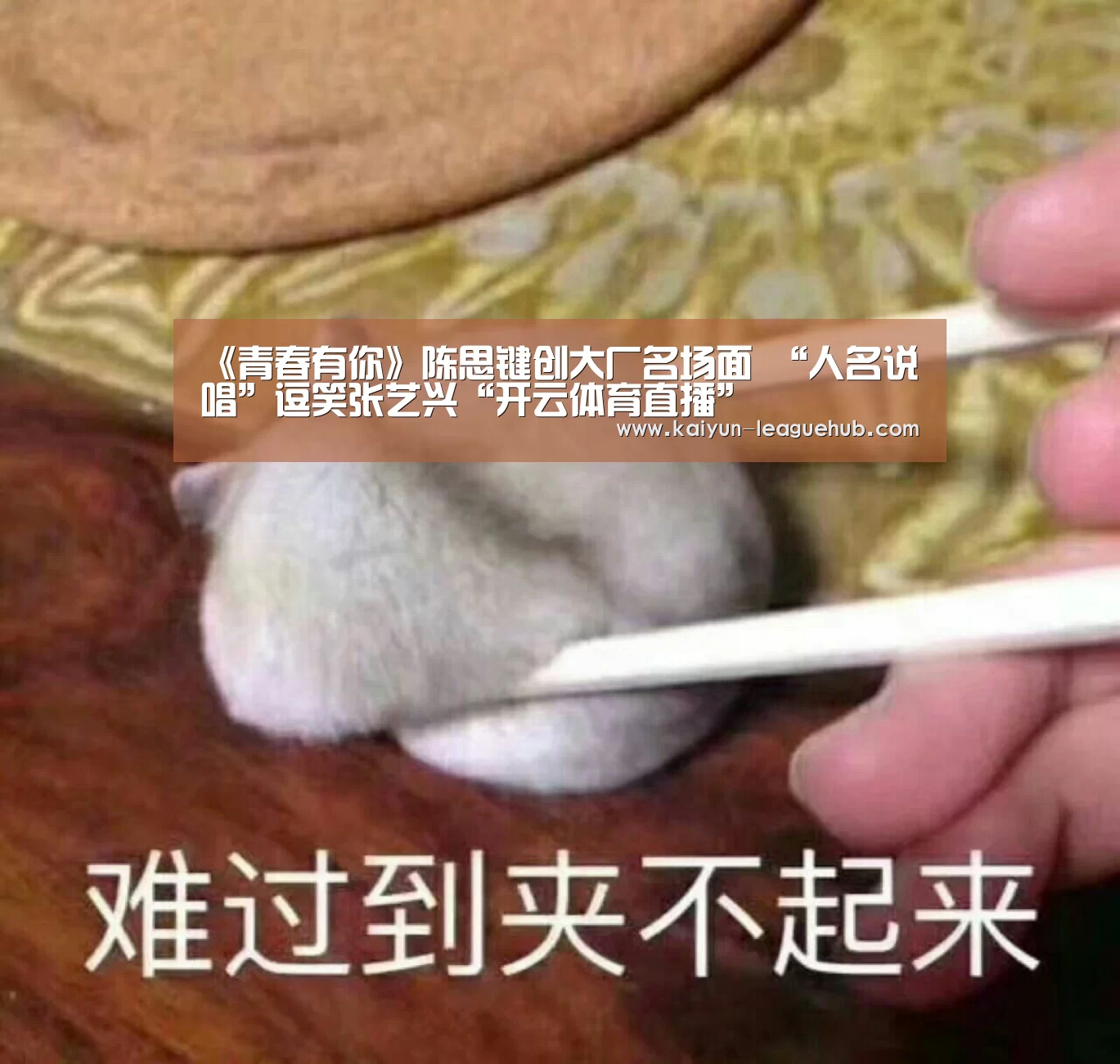 《青春有你》陈思键创大厂名场面 “人名说唱”逗笑张艺兴“开云体育直播”(图1) 开云官方入口