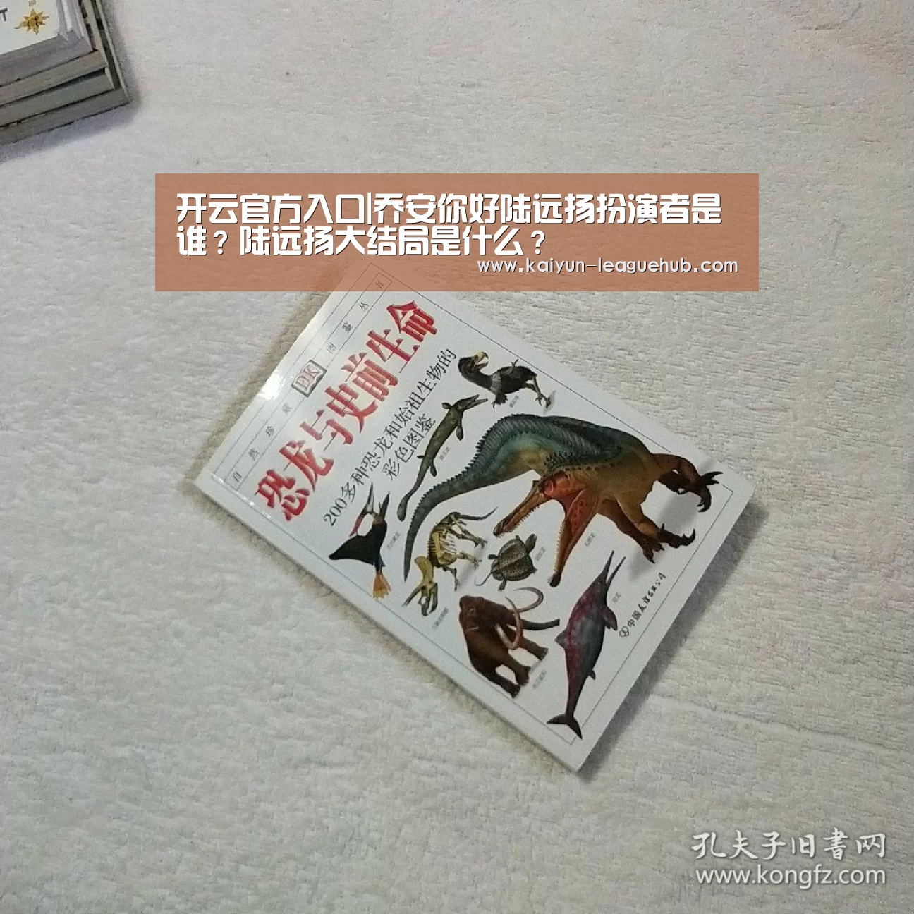 开云电竞竞猜平台