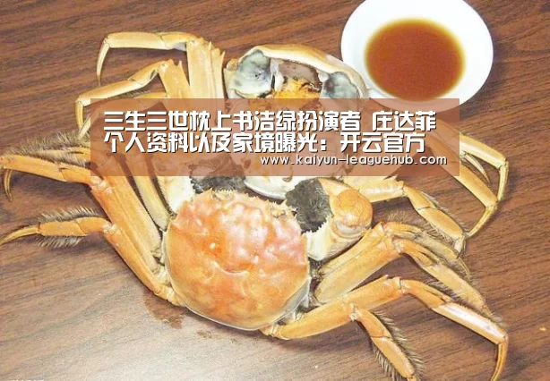 三生三世枕上书洁绿扮演者 庄达菲个人资料以及家境曝光:开云官方入口(图2) 开云电子游艺